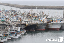 제주 상대리·월정리·수산2리 어촌특화 마을로 육성