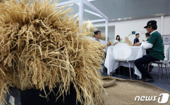 내가 만든 밀짚공예