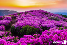 경남 합천 황매산 황매정원 대한민국 조경대상 수상