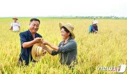 북한 평양 농장벌에 흐뭇한 작황