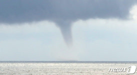승천하는 용처럼…제주서 용오름 현상 관측