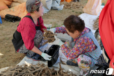 “강원 임산물 어울림 한마당 축제 놀러 오세요”