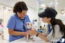 동물병원이 산부인과 됐어요…반려마루에 무슨 일? [최기자의 동행]
