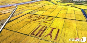 태풍 피해 입었던 북한 안변군 오계농장도 가을걷이 한창