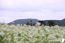 [오늘의 날씨]제주(25일, 월)…산지 중심 가끔 비