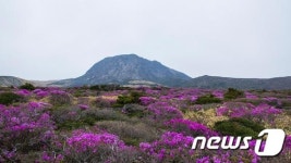 한라산 영실물·노루샘·사제비물·절물 먹는물 기준 적합