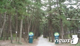 추석연휴 태안 파도리 해식동굴·삼봉해변 가보자…곳곳 인생사진 명소