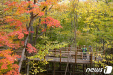 한국산림복지진흥원 소속 15곳서 10월말까지 산림치유 페스타