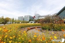 고양시, 긴 추석연휴 끝나니 지역 곳곳마다 축제 ‘풍성’
