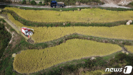 한 계단씩 가을이…