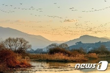 김해시, 화포천습지서 별 탐사 체험 프로그램 운영