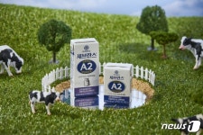 연세유업, 세브란스 전용목장 A2단백우유 출시