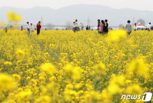 하중도에서 가을 정취를…대구정원박람회 13일 개막