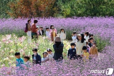 ‘꽃길만 걷자’ 인제 가을꽃 나들이 나선 아이들