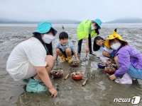[화보] 사진으로 본 전남교육…목공기술 활용, 새집 만들기