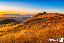 은빛 억새 물결…합천 황매산 억새축제 21~29일