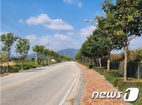 철원군, 가을철 경관조성 가로수 유지관리·보호대 설치 완료