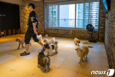 강아지 모습 닮은 양천구, 서울 속 반려견 여행지로 뜬다