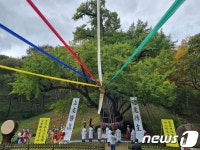 금산군, 1000년 천연기념물 보석사 은행나무 대신제 개최