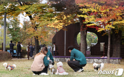 김포국제공항, 국내 공항 최초로 반려동물 전용 쉼터 개장