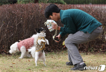 김포국제공항에 반려동물쉼터 펫파크 개장