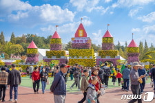 가을 정취 만끽…익산 천만송이 국화축제 열흘간 72만명 몰려