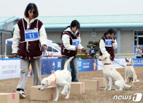 환상의 호흡