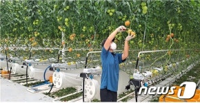 농생명 산업 수도 전북, 시설원예분야 국비 확보 전국 1위