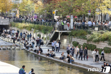 ‘강릉 29.1도, 삼척 원덕 28.8도’ 강원 11월 역대 최고기온