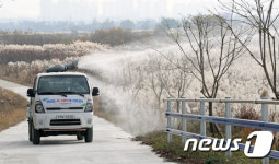 부안 육용오리 농장 AI H5 항원…정밀검사 결과 “저병원성”(종합)