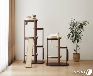 신세계까사 펫 가구 몽스 인기…출시 후 매달 85% 성장