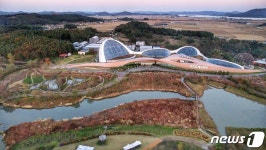 200년 숲, 어린 숲보다 탄소 20배 저장…오래된 숲 가꿔야