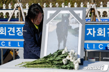 까미 2주기 동물보호법 개정안 통과 촉구