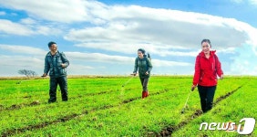 북한, 과학적 가을밀 비배관리 강조…다수확 낼 열의