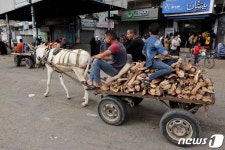 [포토] 당나귀 수레에 장작 싣고가는 가자 주민들