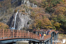 죽녹원·관방제림·메타세쿼이아길…담양, 내륙관광 1번지로