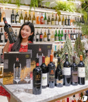 현대百, 대규모 현대 와인엑스포 진행
