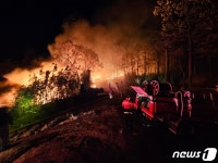강원 고성 주택 화재, 산으로 옮겨붙어…30분 만에 진화