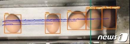 알 적게 낳는 닭 찾아낸다…영상기반 선별 기술 개발