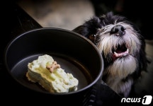 [포토] 이탈리아 최초 개스토랑 오픈