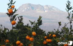 [오늘의 날씨]제주(26일, 일)…눈 쌓인 산, 산악도로 운전조심