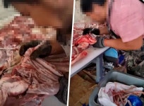 中정육점 양고기 입 발골…너무 역겨워, 다시는 먹지 않겠다