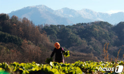 지리산 산골의 겨울 풍경