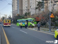 진해서 마을버스 중앙선 넘어 가로수 충돌…6명중경상