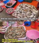 소래할인마트내수산코너 | "사지도 않으면서 처 물어보기는"…소래포구 상인, 가격 묻는 손님에 막말