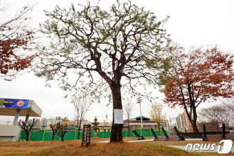 고 정선엽 병장을 기리며