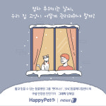 추워지는 날씨…우리집 고양이 겨울철 건강관리 어떻게[펫카드]