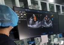 심장병으로 모견 잃은 강아지…브이클램프로 희망 찾았죠[펫피플]