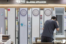 전문몰vs 종합몰…롯데하이마트·전자랜드, 극과극 전략