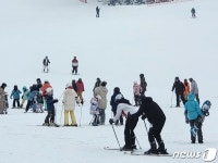 즐거운 화이트 크리스마스 북적이는 원주 오크밸리 스키장